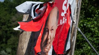 Ein zerfetztes Wahlplakat der SPD mit Bundeskanzler Scholz hängt an einer Ausfallstraße.