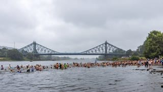 Teilnehmer des Elbeschwimmens gehen hinter der Brücke «Blaues Wunder» ins Wasser.
