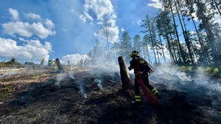 Ein Feuerwehrmann auf einem Löscheinsatz im Wald.