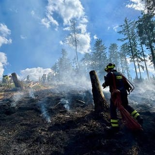 Ein Feuerwehrmann auf einem Löscheinsatz im Wald.