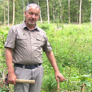 Förster Martin Neumaier ist Revierleiter in der Unternehmensgruppe Fürst von Hohenzollern. 