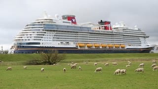 Das neugebaute Kreuzfahrtschiff «Disney Wish» der Papenburger Meyer-Werft hat die Werft verlassen und fährt am Mittwoch auf der Ems den Weg in Richtung Nordsee.