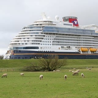 Das neugebaute Kreuzfahrtschiff «Disney Wish» der Papenburger Meyer-Werft hat die Werft verlassen und fährt am Mittwoch auf der Ems den Weg in Richtung Nordsee.