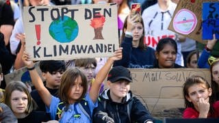 Zahlreiche Kinder und Jugendliche demonstrieren anlässlich des globalen Klimastreiks vor dem Bundeskanzleramt. 