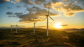 Windräder im Sonnenlicht: Falschinformationen zu Windrädern stoßen auf hohe Akzeptanz. Das liegt mehr an der Weltanschauung als an fehlendem Wissen, so die Uni Hohenheim.