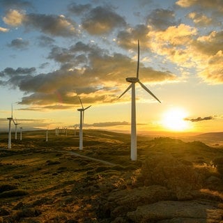 Windräder im Sonnenlicht: Falschinformationen zu Windrädern stoßen auf hohe Akzeptanz. Das liegt mehr an der Weltanschauung als an fehlendem Wissen, so die Uni Hohenheim.