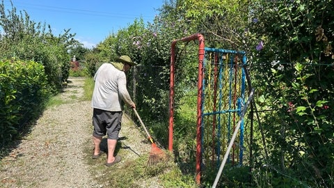 Ein Hobbygärtner harkt das Unkraut auf dem allgemeinen Gehweg vor seinem Gartengrundstück weg.  