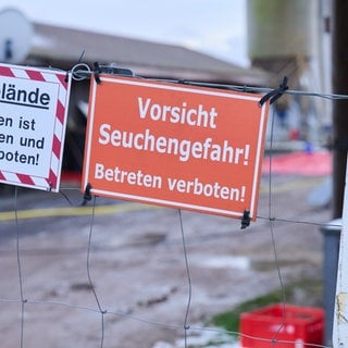 "Vorsicht Seuchengefahr!" steht auf einem Schild an einem landwirtschaftlichen Betrieb.