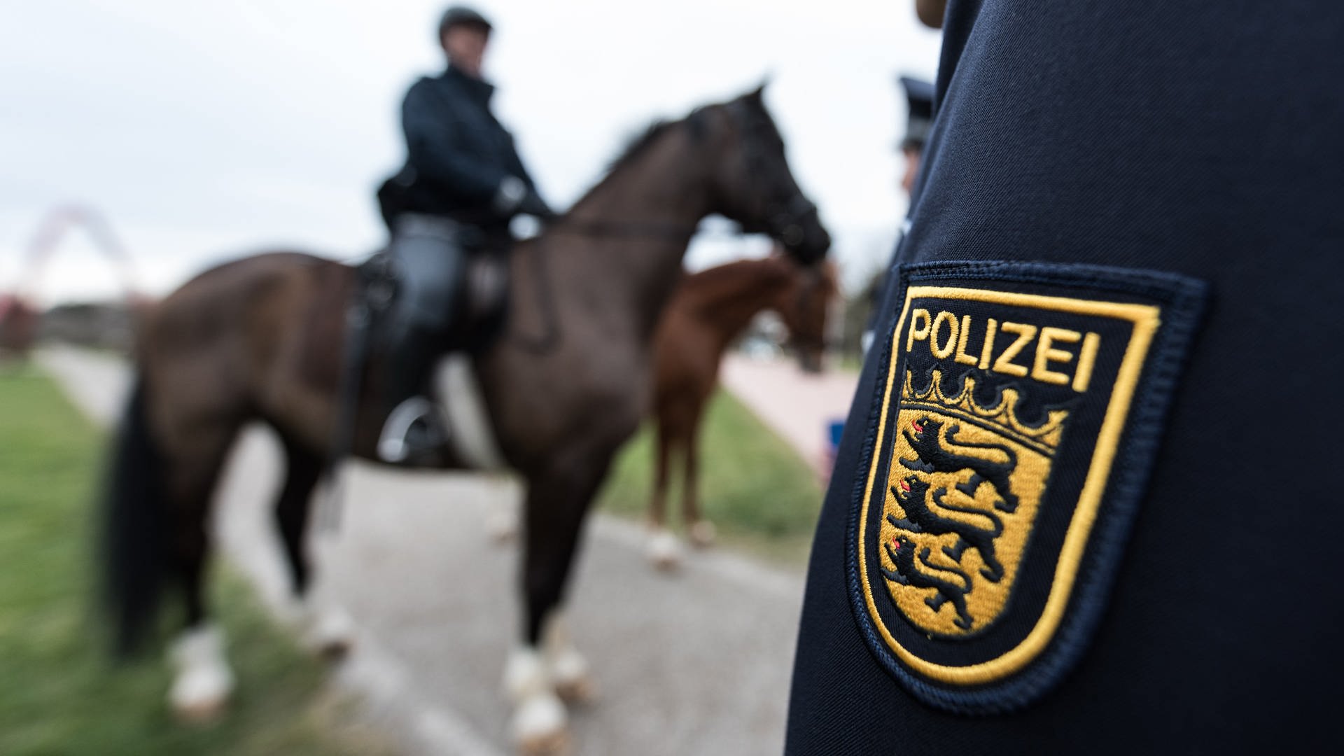 Polizisten der Mannheimer Reiterstaffel wegen Tierquälerei vor Gericht