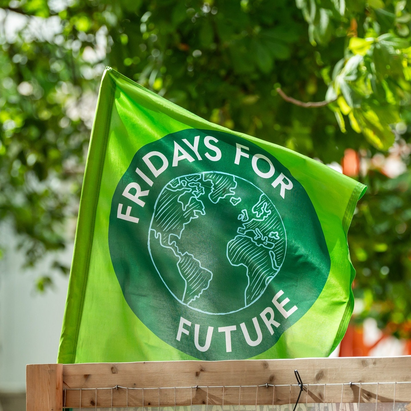 Interview: Darum Unterstützt Fridays For Future Den Warnstreik - SWR ...