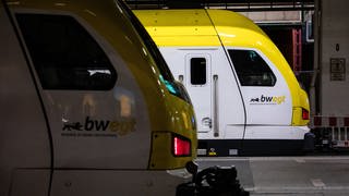 Züge der Südwestdeutschen Landesverkehrs-GmbH. Die Beschäftigten der Tochter SWS bekommen mehr Geld.