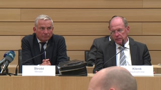 Thomas Strobl (CDU) im Innenausschuss im Landtag von Baden-Württemberg.