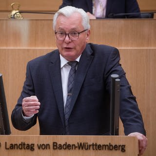 AfD-Fraktionsvorsitzender Bernd Gögel