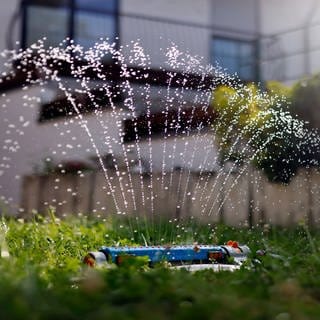 Ein Rasensprenger wässert bei heißem Wetter den Rasen in einem Vorgarten