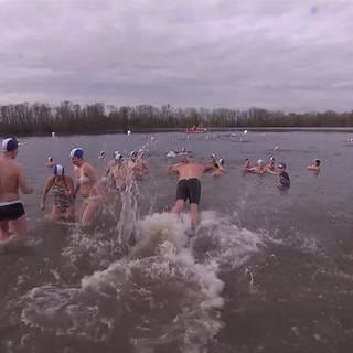 Traditionelles Neujahrsschwimmen