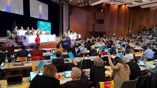 Die FDP stimmt bei ihrem Parteitag in Fellbach über einen Antrag ab.