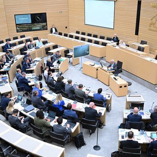 Untersuchungsausschuss im baden-württembergischen Landtag