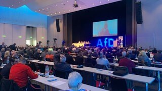 AfD-Parteitag in Offenburg