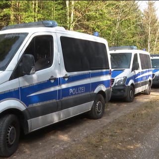 Polizeiautos parken im Wald