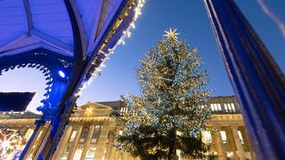 Im Abendlicht leuchtet der Weihnachtsbaum auf dem Stuttgarter Weihnachtsmarkt.