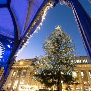 Im Abendlicht leuchtet der Weihnachtsbaum auf dem Stuttgarter Weihnachtsmarkt.