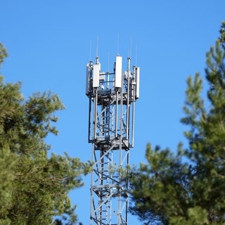 Ein Mast mit Mobilfunk-Antennen steht zwischen Kiefern. Baden-Württemberg will den Ausbau des Mobilfunknetzes beschleunigen und Funklöcher stopfen. 