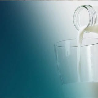 Milchpreis fällt bei Discountern