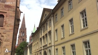 Blick auf Freiburger Münster