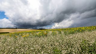 Hinter Feldern ziehen am Rande der Schwäbischen Alb dunkle Regenwolken am Himmel auf.