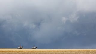 Reiterinnen sind mit ihren Pferden zwischen Getreidefeldern unterwegs, während im Hintergrund ein Gewitter aufzieht.