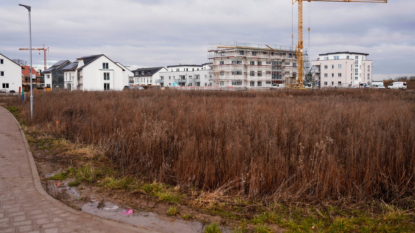 Neu gebaute Häuser stehen hinter einer noch unbebauten Fläche eines Neubaugebiets in Ladenburg (Symbolfoto).