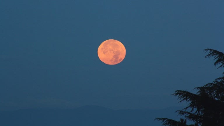 Ein gelblicher "Supermond" am frühen Morgen über Dossenheim