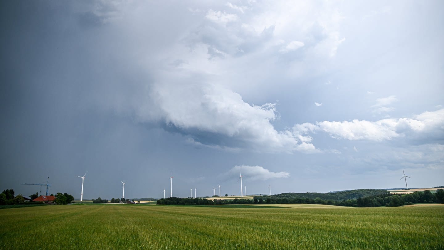Eine Regenfront mit dunklen Wolken ist hinter einem Gerstenfeld bei Böhmenkirch zu sehen.