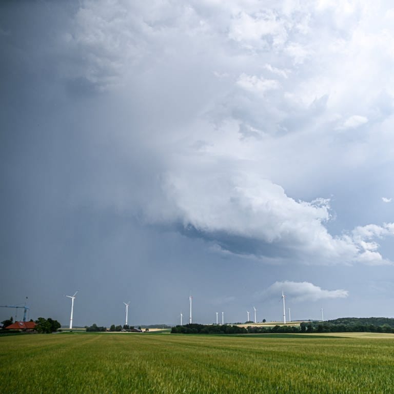 Eine Regenfront mit dunklen Wolken ist hinter einem Gerstenfeld bei Böhmenkirch zu sehen. 