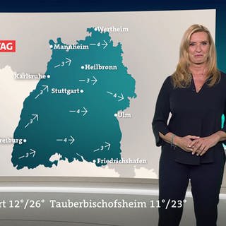 Wettermoderatorin Claudia Kleinert