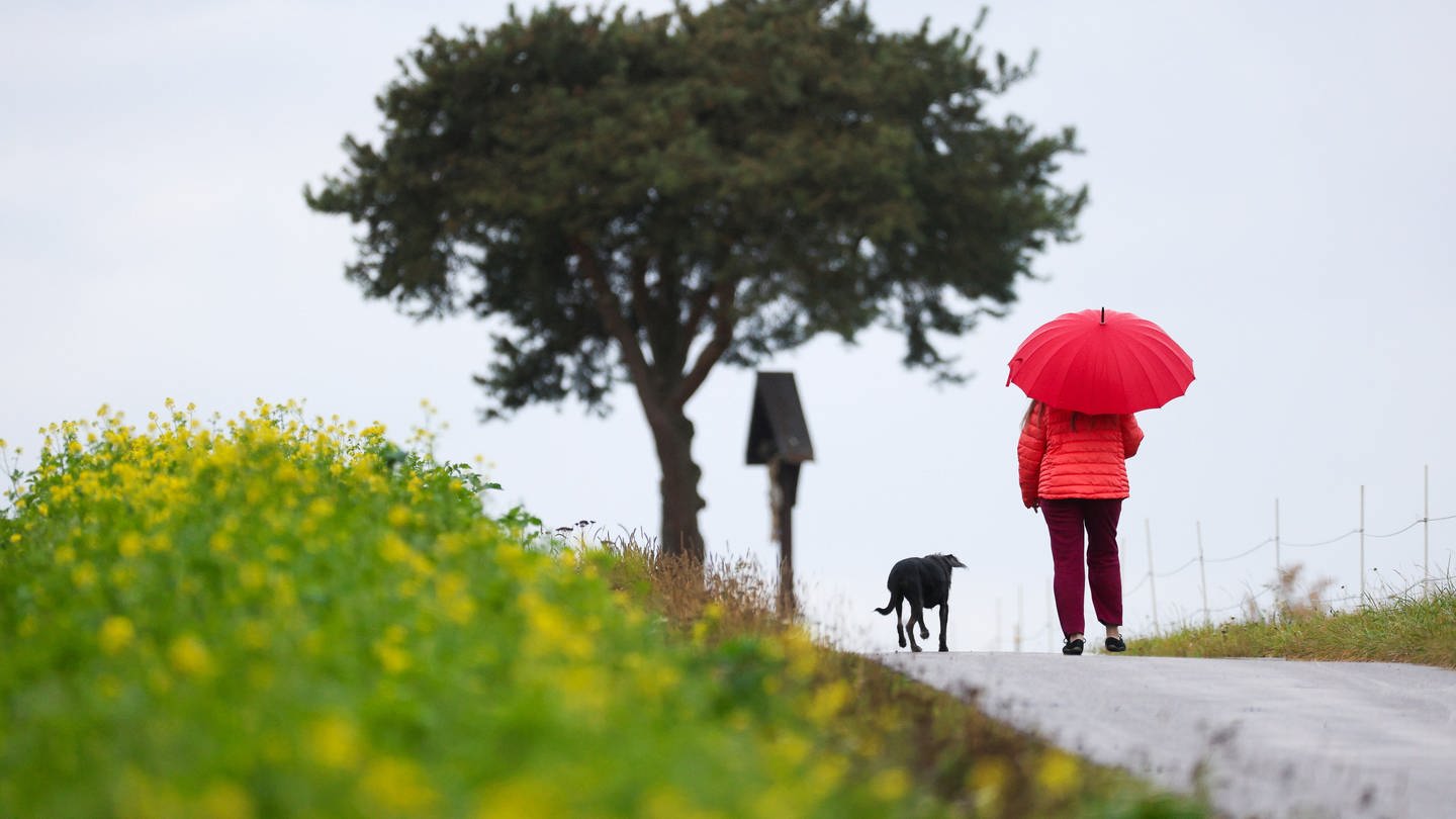 Eine Frau geht im Regen mit ihrem Hund nahe Riedlingen (Kreis Biberach) spazieren. In den Herbstferien wird das Wetter in Baden-Württemberg wechselhaft.