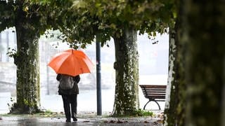 Eine Frau mit Regenschirm geht an der Uferpromenade entlang, während es in Strömen regnet. Im Hintergrund ist der Bodensee zu sehen