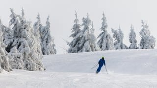 Skifahrer auf Skipiste mit Schnee und Bäumen am Seibelseckle im Ortenaukreis