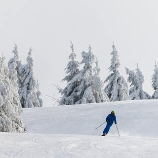 Skifahrer auf Skipiste mit Schnee und Bäumen am Seibelseckle im Ortenaukreis