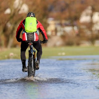Ein Radfahrer ist auf dem überflutetem Donau Radwanderweg unterwegs. Milde Temperaturen und Regenfälle sorgen in den kommenden Tagen für steigende Pegelstände.
