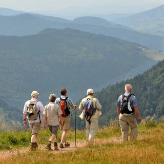 Eine Wandergruppe im Schwarzwald.