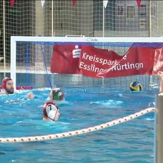Wasserball-Neckarderby Cannstatt gegen Esslingen