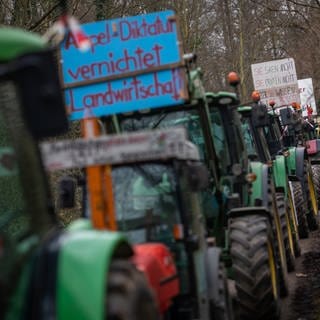 Am Rande des Besuchs von Bundeskanzler Scholz, demonstrieren Landwirte aus der Region gegen die aktuelle Bundesregierung. Dafür wurden die Traktoren der Landwirte in ein Waldstück geleitet.