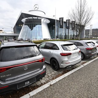 Fahrzeuge der Automarke Mercedes-Benz stehen vor einer Mercedes-Benz Niederlassung in Stuttgart.