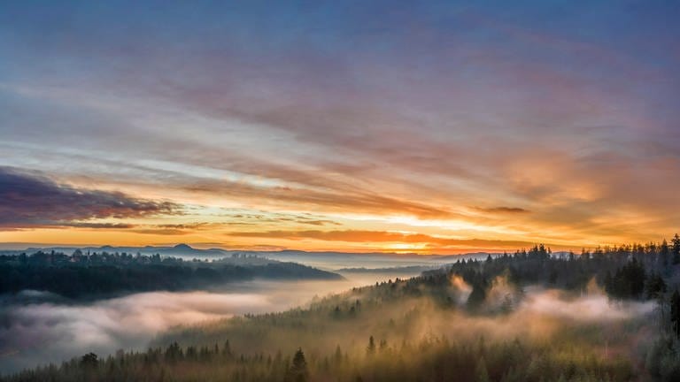 Die Sonne geht über dem Schwarzwald auf - Bild für den Newsletter von SWR Aktuell BW