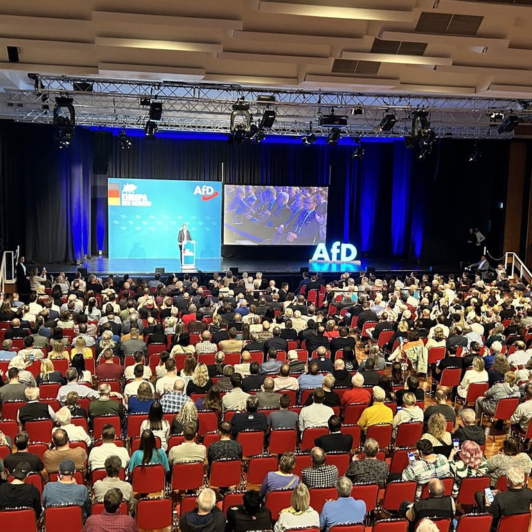 Die Parteivorsitzende Alice Weidel spricht beim Wahlkampfauftakt zur Europawahl der AfD in Donaueschingen. (Foto: SWR, Foto: Martin Rottach)