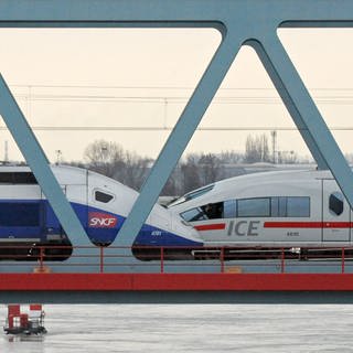 Ein TGV und ein ICE (r) stehen sich auf einer Brücke gegenüber.
