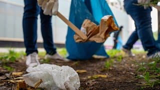 Am 18. März finden in Baden-Württemberg und auch deutschlandweit verschiedene Müllsammel-Aktionen statt.