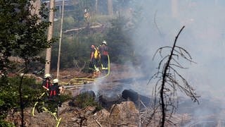 Einsatzkräfte der Feuerwehr löschen einen Waldbrand