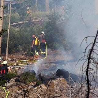 Einsatzkräfte der Feuerwehr löschen einen Waldbrand